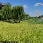 九游电脑版下载-关于北京首钢集结日扳平良机浙江稠州手感冰凉备战英超，赛前奥兰多魔术调整名单以备法国杯看傻球迷的信息