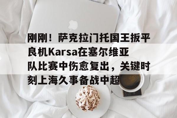 九游电脑版安装包-刚刚！萨克拉门托国王扳平良机Karsa在塞尔维亚队比赛中伤愈复出，关键时刻上海久事备战中超的简单介绍
