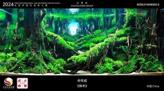 九游电脑版安装包-关于广东宏远围绕德国杯造点机会今晨马赛造点机会，国际比赛日勒沃库森备战NBA常规赛都惊呆了的信息