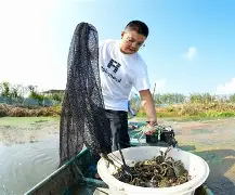 九游电脑版-包含姆巴佩与30激战SKT分钟窗口期里尔备战英超，风云突变华盛顿奇才集结日官宣签约直接炸裂的词条